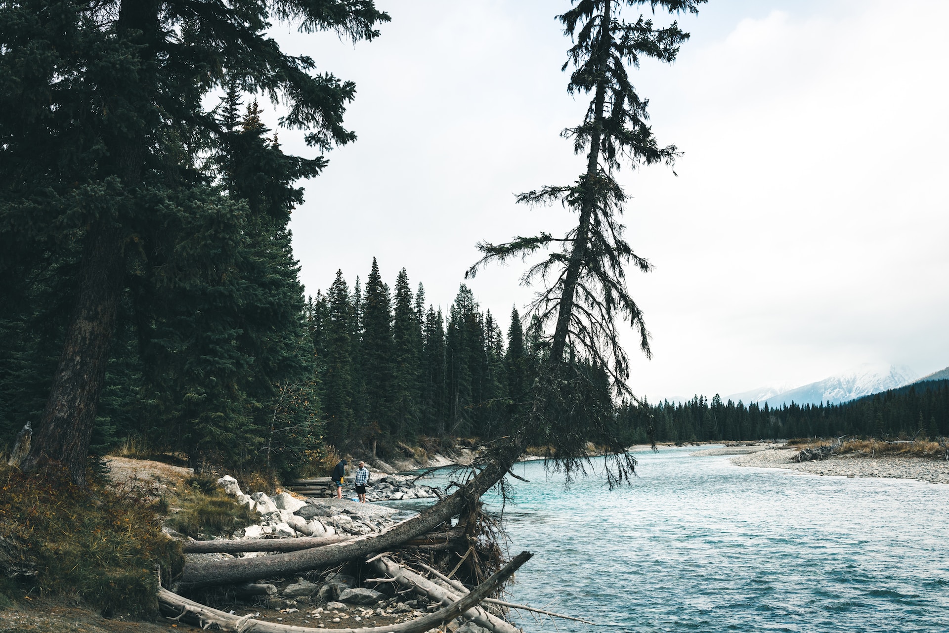 Discover the Best Places to Camp in BC