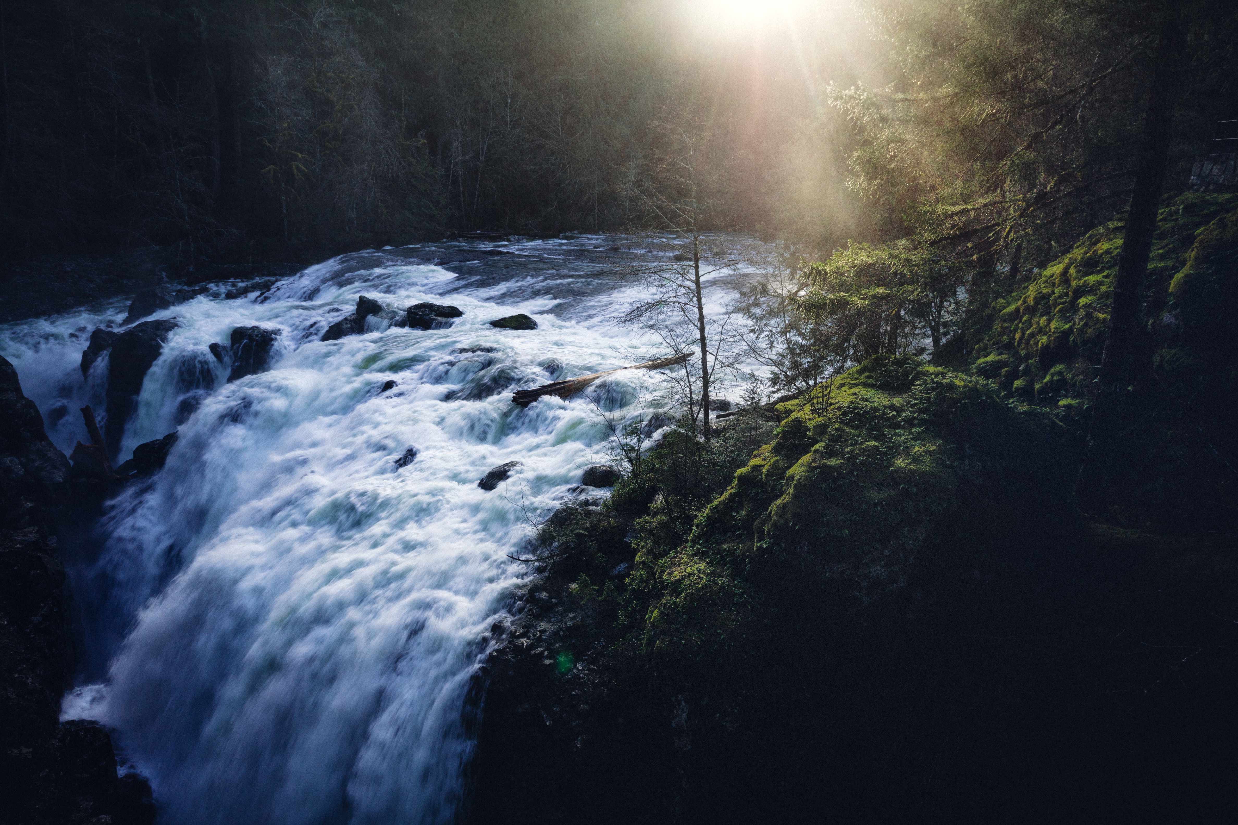 5 Spectacular Hikes on Vancouver Island