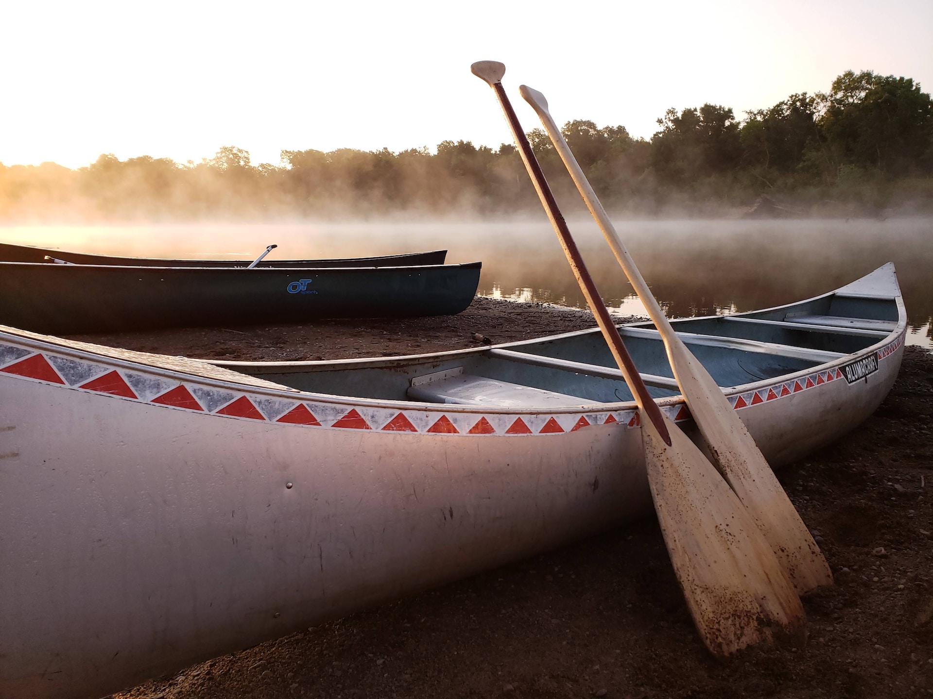 Choosing the Best Canoe Paddles for Beginners