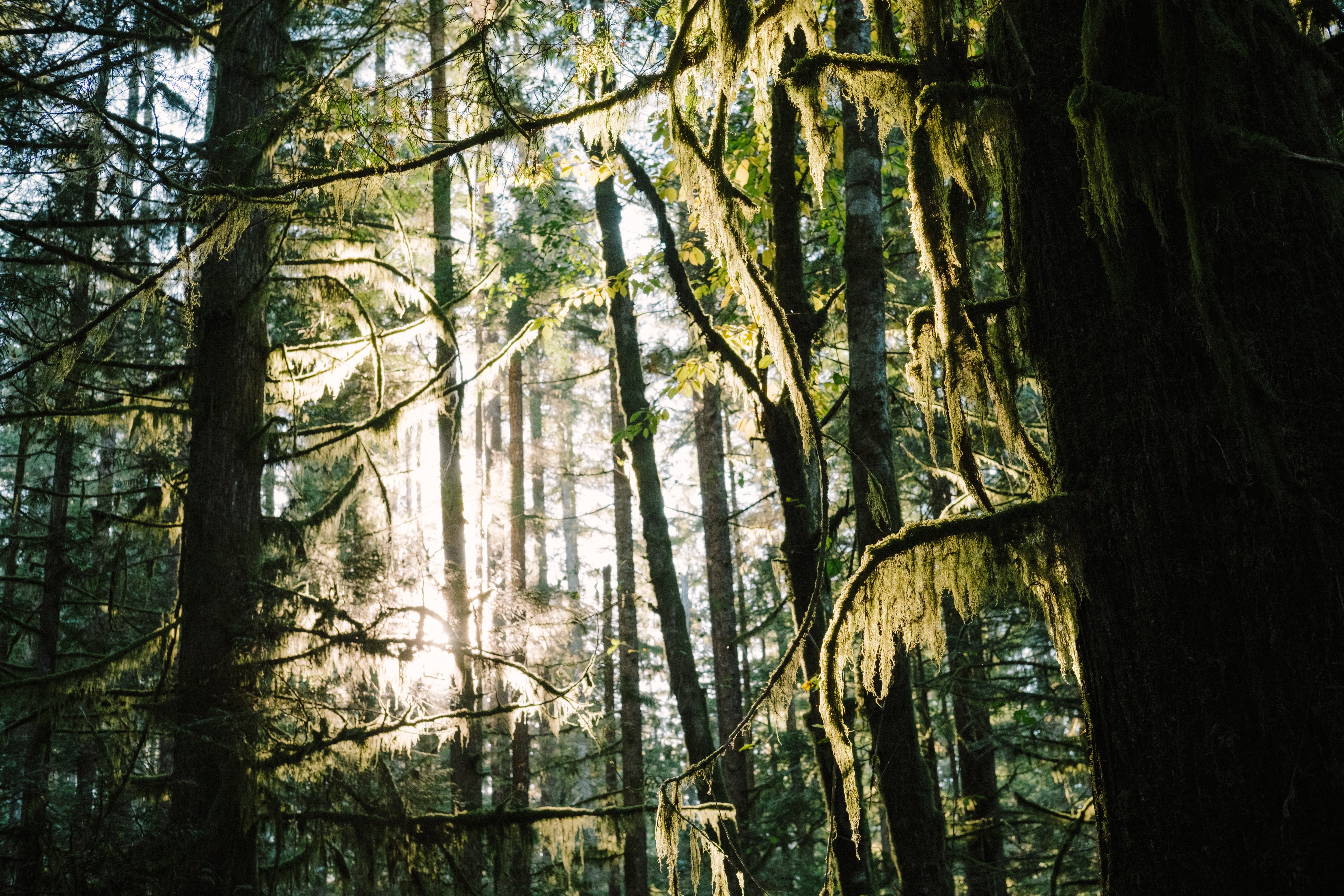 Pender Island Camping Guide