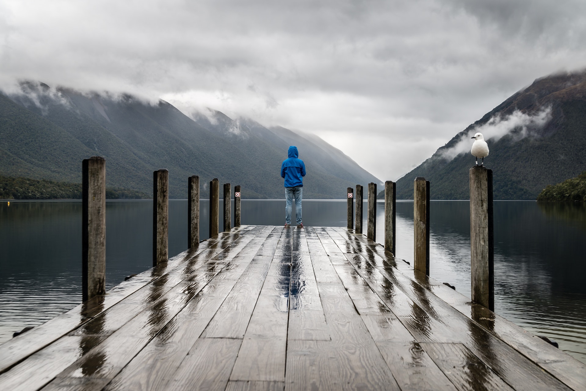 How to Camp in the Rain with Confidence