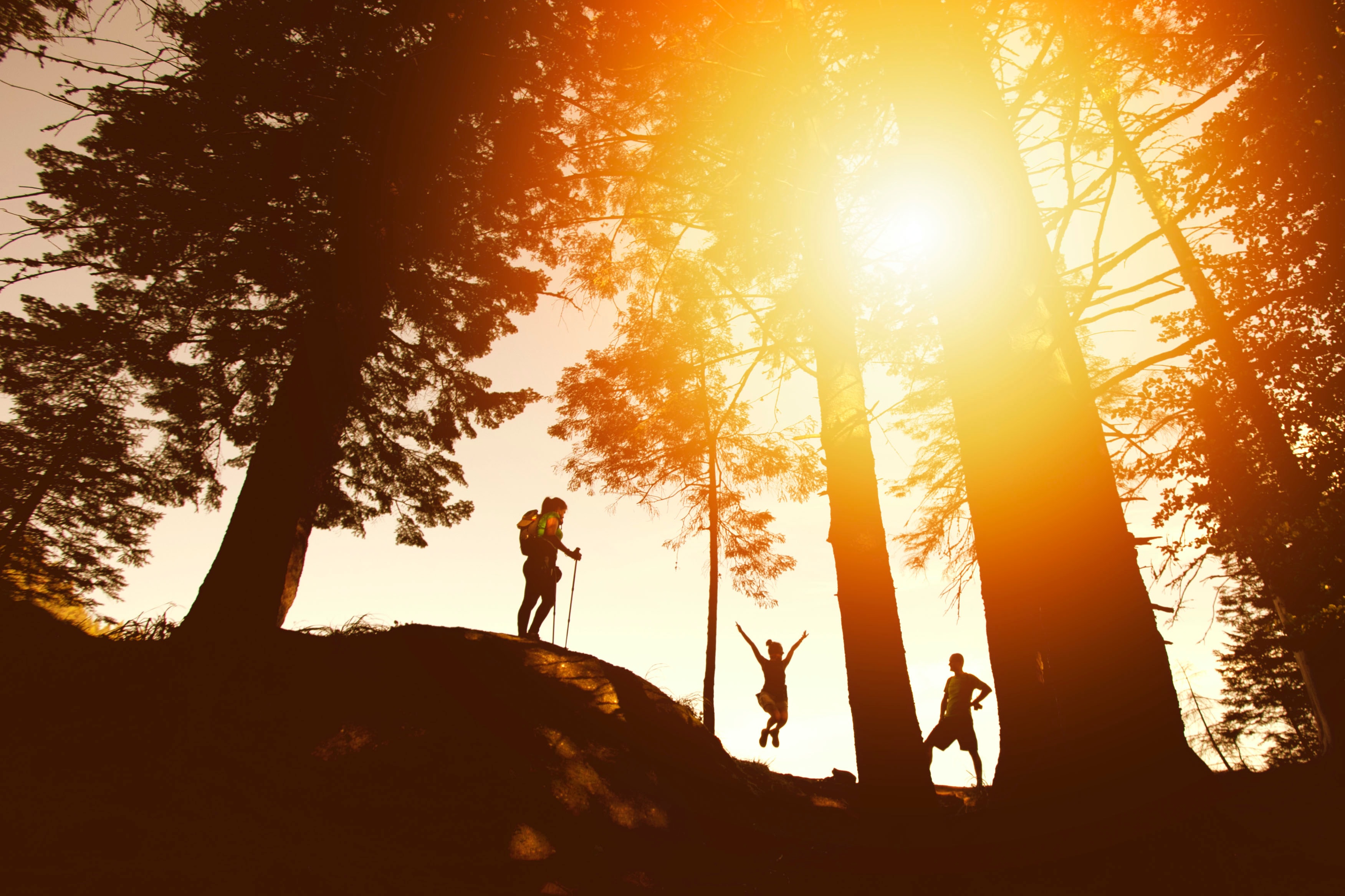 Hiking with Kids - Tips for a Safe and Fun Family Adventure
